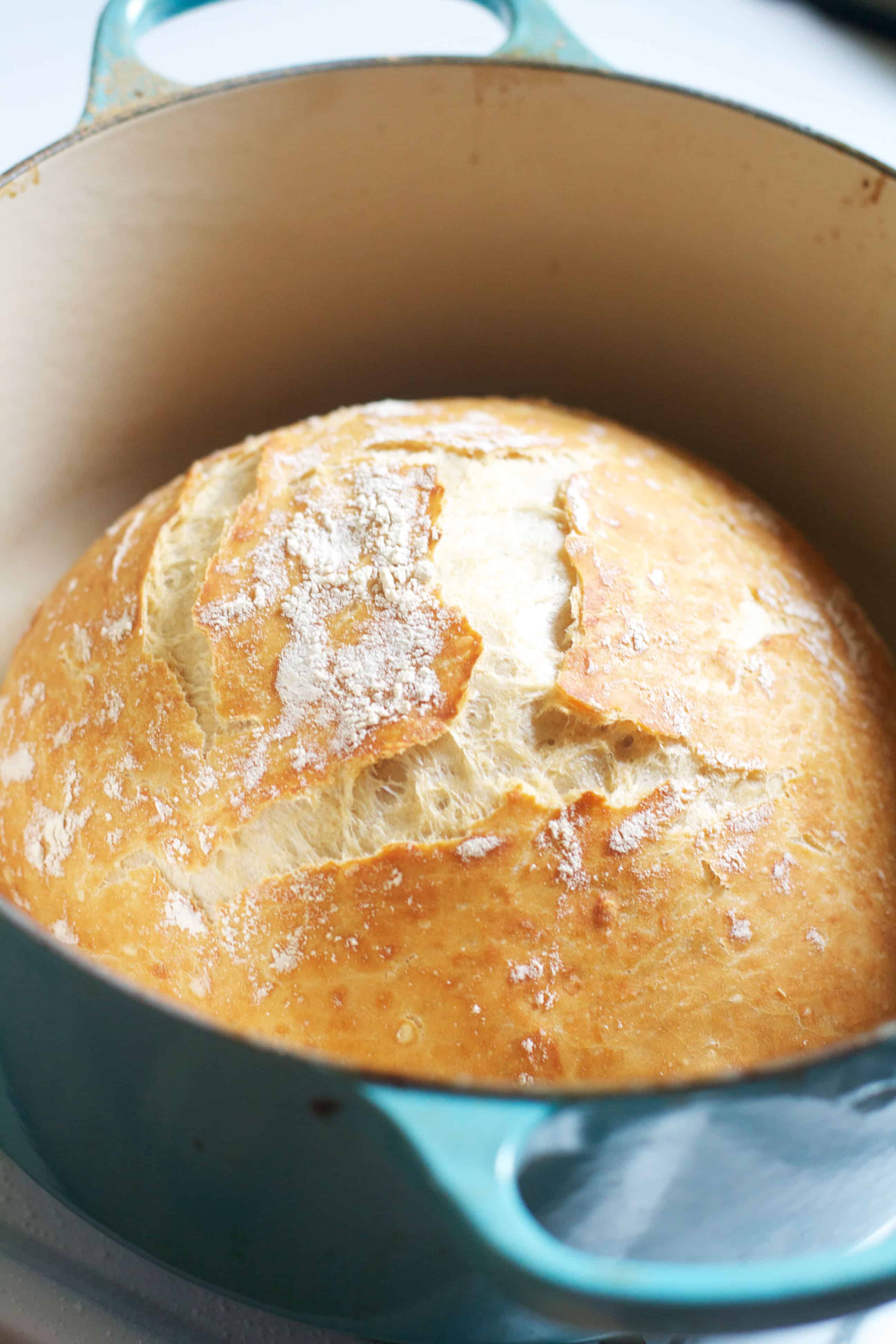 No-Knead Crusty Artisan Bread