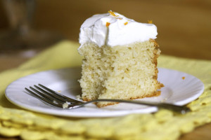 Blood-Orange Yogurt Cake with Honey Whipped Cream - The Baker Chick