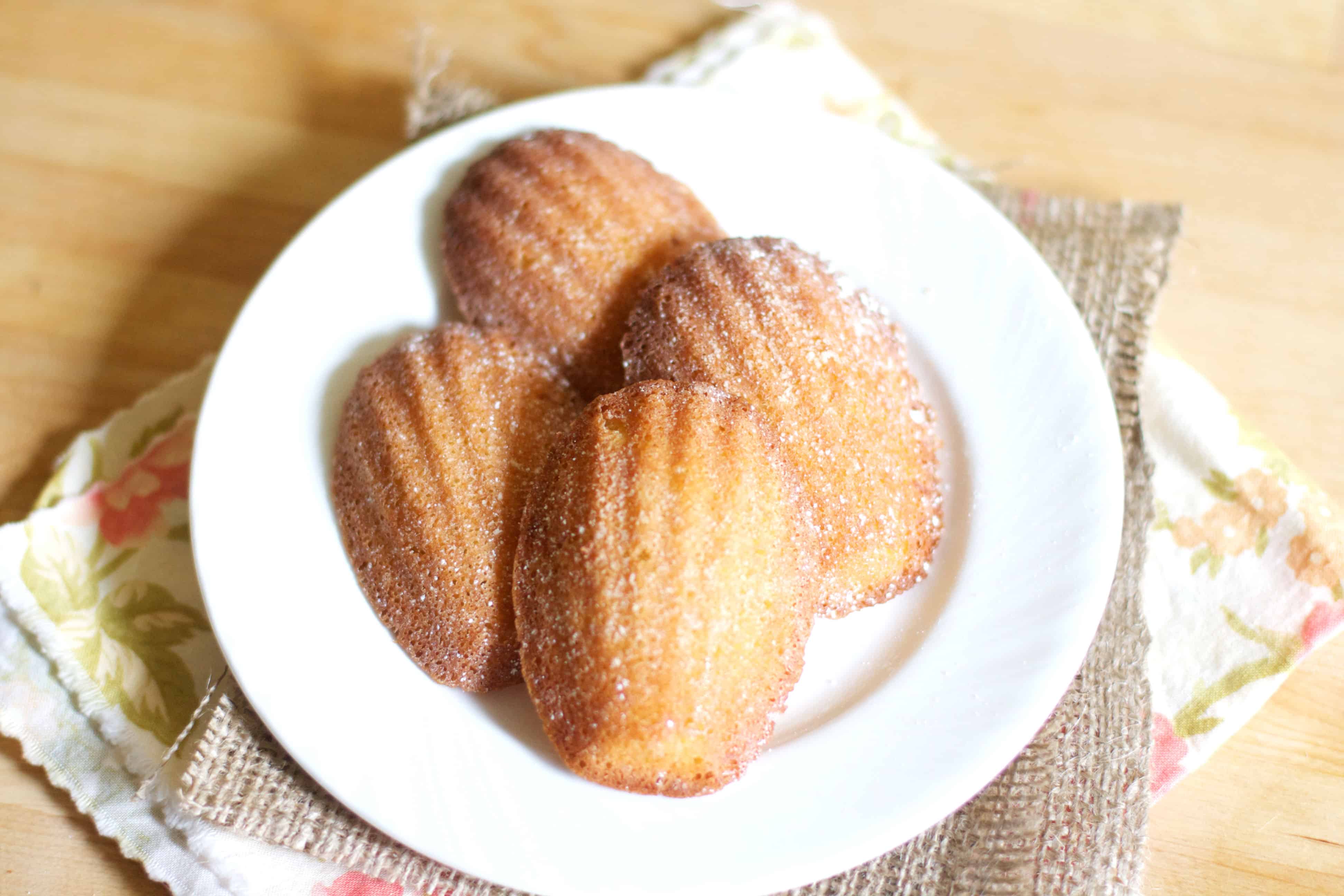 American Bakery Madeleines (28 ct.) AS : Amazon.ca: Grocery & Gourmet Food
