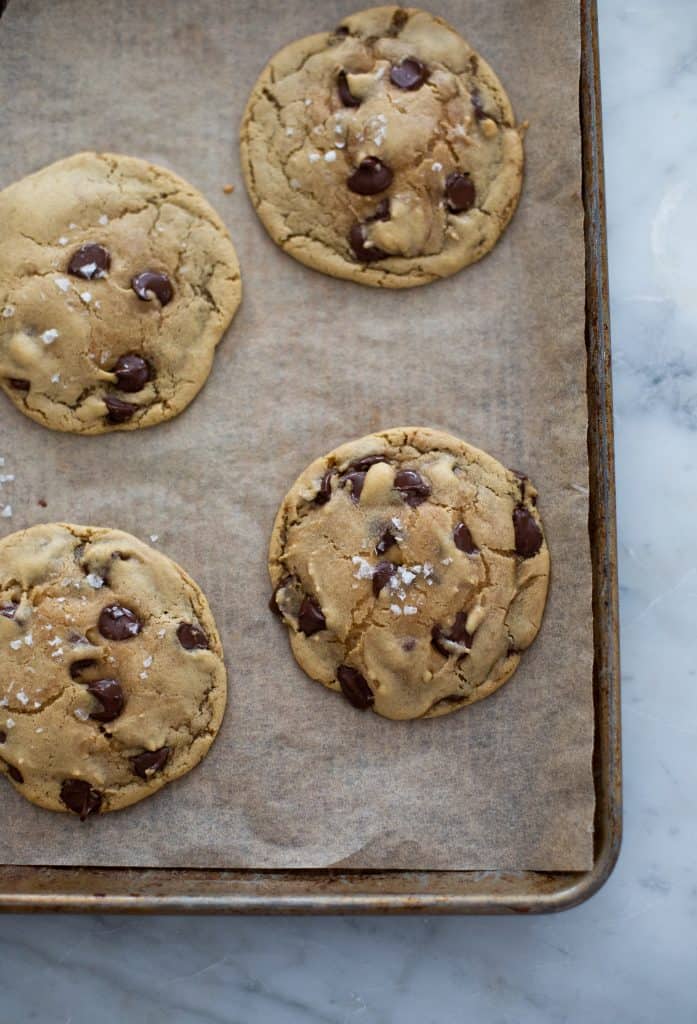 Chewy Chocolate Chip Cookies - Glorious Treats