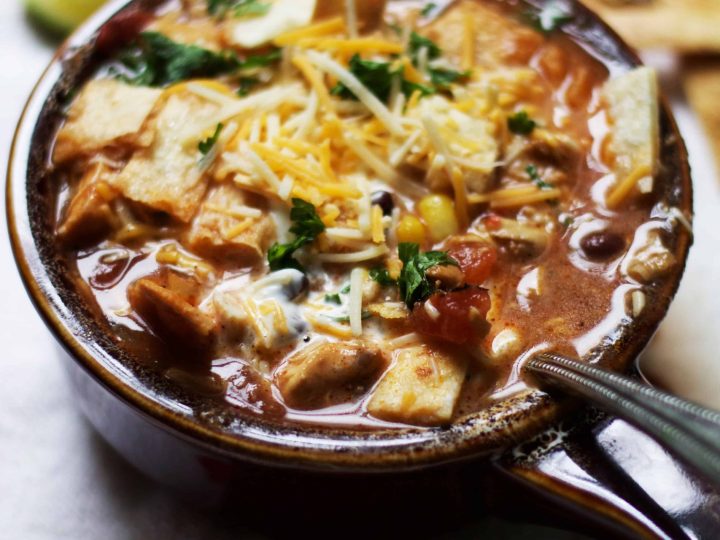 Spicy Chicken Tortilla Soup – Pat Cooks